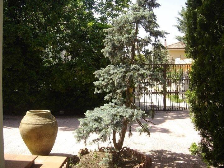 B&B Rollo Garden Ragusa Exterior foto